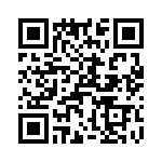 T38018-07-0 QRCode