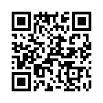 T38018-13-0 QRCode