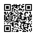 T38020-07-0 QRCode