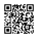 T38020-09-0 QRCode