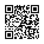 T38020-22-0 QRCode