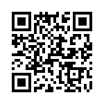 T38021-10-0 QRCode