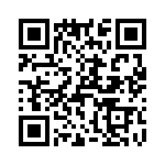 T38021-13-0 QRCode