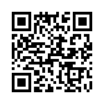 T38021-23-0 QRCode