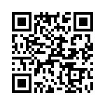 T38021-26-0 QRCode