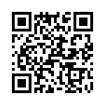 T38022-04-0 QRCode