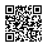 T38022-08-0 QRCode