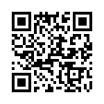 T38022-13-0 QRCode