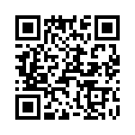 T38022-17-0 QRCode