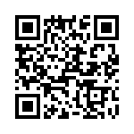 T38022-21-0 QRCode