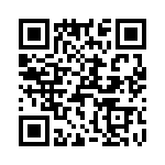 T38023-20-0 QRCode