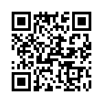 T38025-03-0 QRCode