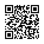 T38025-07-0 QRCode