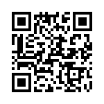 T38025-17-0 QRCode