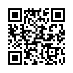 T38025-22-0 QRCode