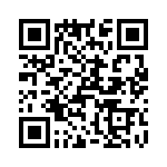 T38025-26-0 QRCode