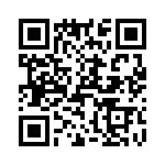 T38027-13-0 QRCode