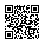 T38028-10-0 QRCode