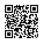 T38028-11-0 QRCode