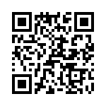 T38028-12-0 QRCode