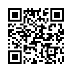 T38030-02-0 QRCode