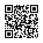 T38030-06-0 QRCode