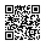 T38030-11-0 QRCode