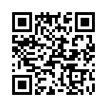 T38030-26-0 QRCode