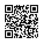 T38031-03-0 QRCode