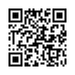 T38031-06-0 QRCode