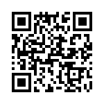 T38031-09-0 QRCode