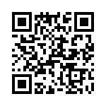 T38031-10-0 QRCode