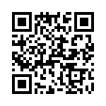 T38031-16-0 QRCode