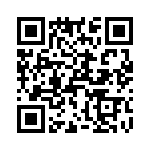 T38031-25-0 QRCode