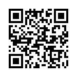 T38032-22-0 QRCode