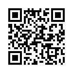 T38033-03-0 QRCode