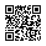 T38033-10-0 QRCode