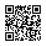 T38033-22-0 QRCode