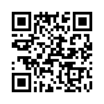 T38035-03-0 QRCode