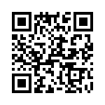 T38037-13-0 QRCode