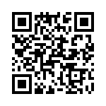 T38038-04-0 QRCode