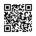 T38038-07-0 QRCode