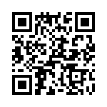 T38038-13-0 QRCode