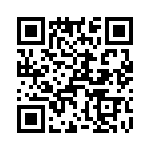 T38038-25-0 QRCode