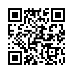 T38040-07-0 QRCode