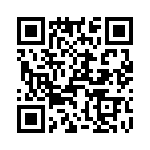 T38040-10-0 QRCode