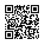 T38040-12-0 QRCode