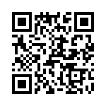 T38041-13-0 QRCode