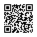 T38041-22-0 QRCode