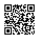 T38042-22-0 QRCode